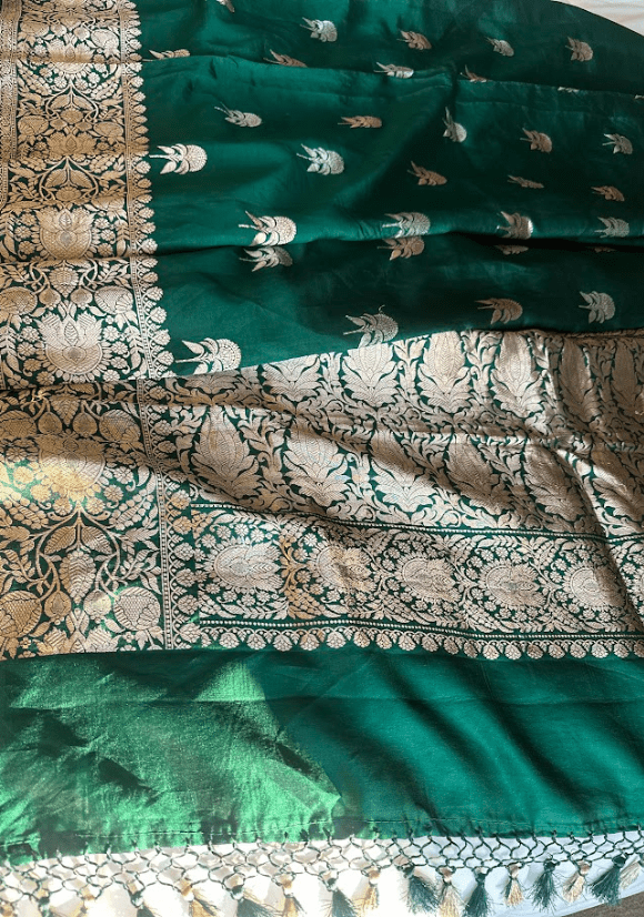 Mughal Garden Saree - Ensemble by Monika